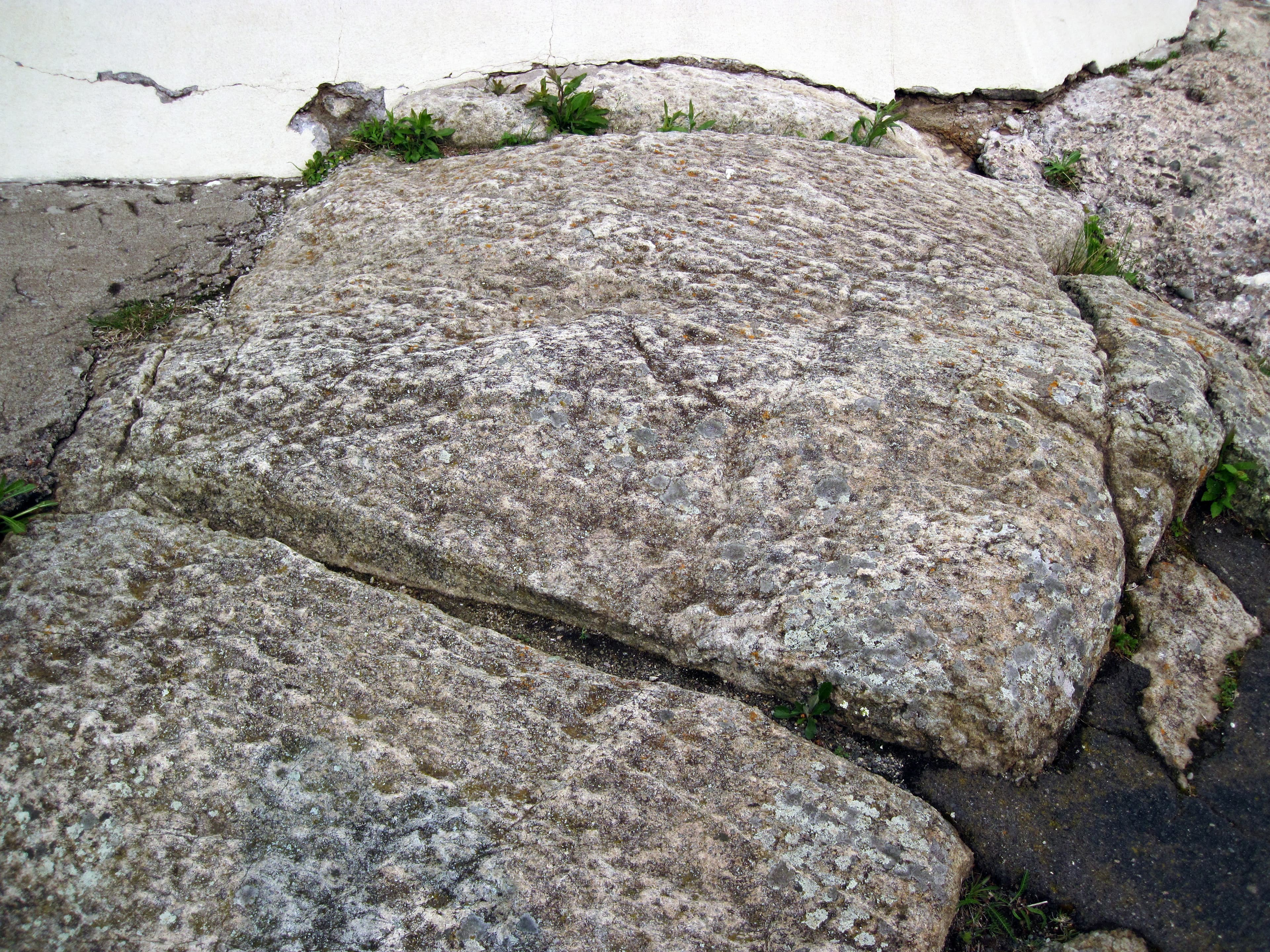 Anorthosite