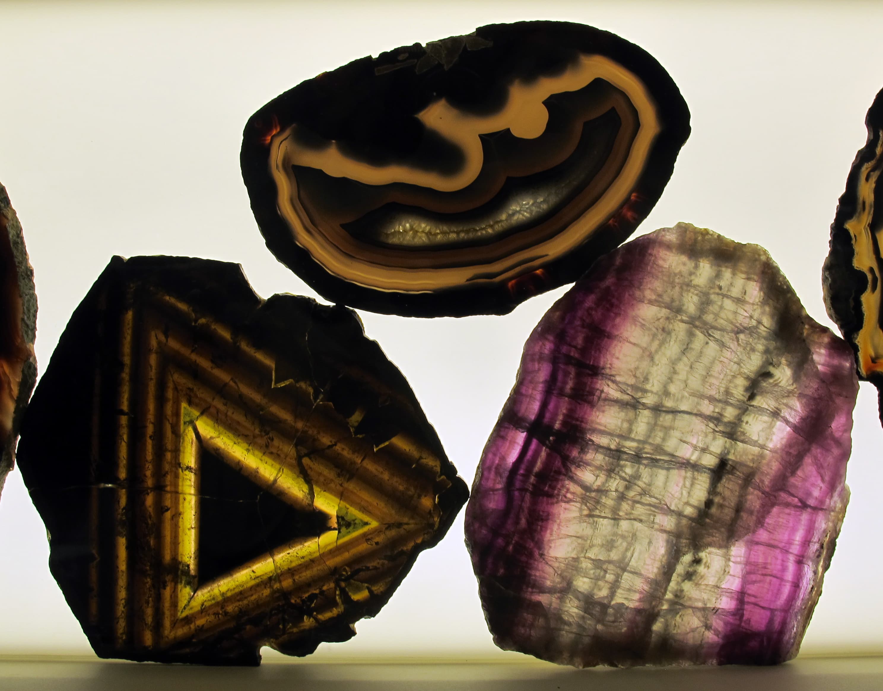 Liddicoatite