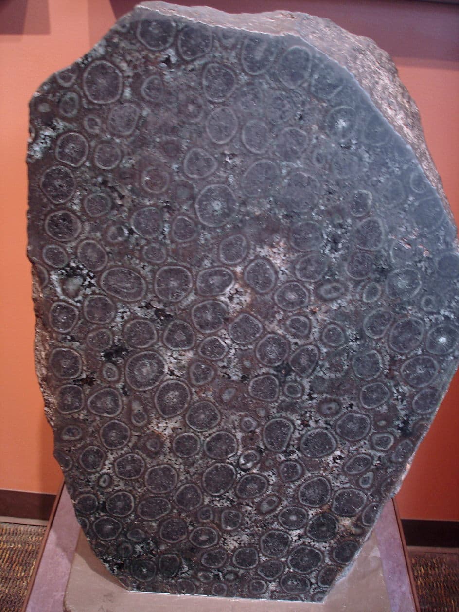 Gabbro