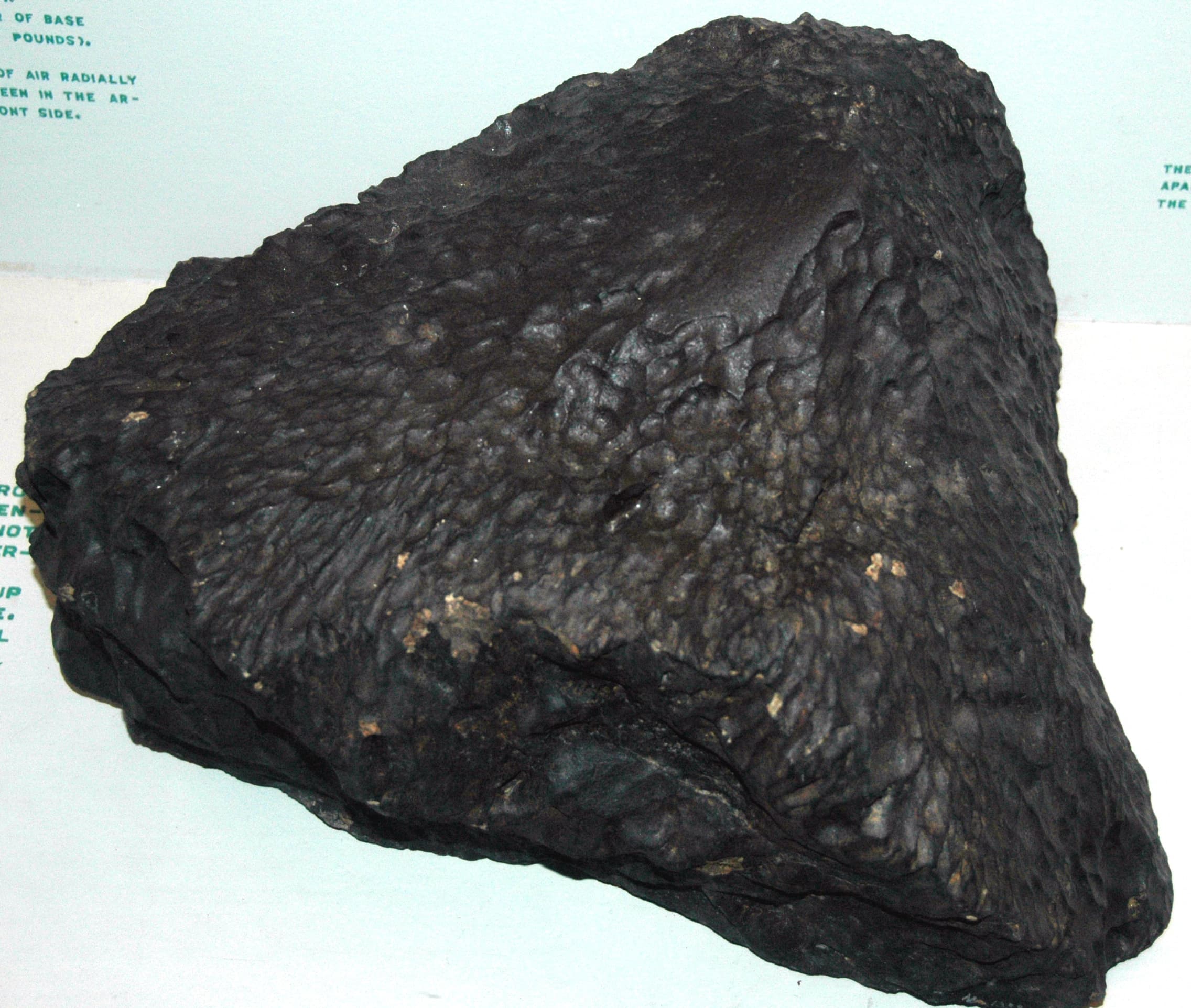 Stony Meteorite