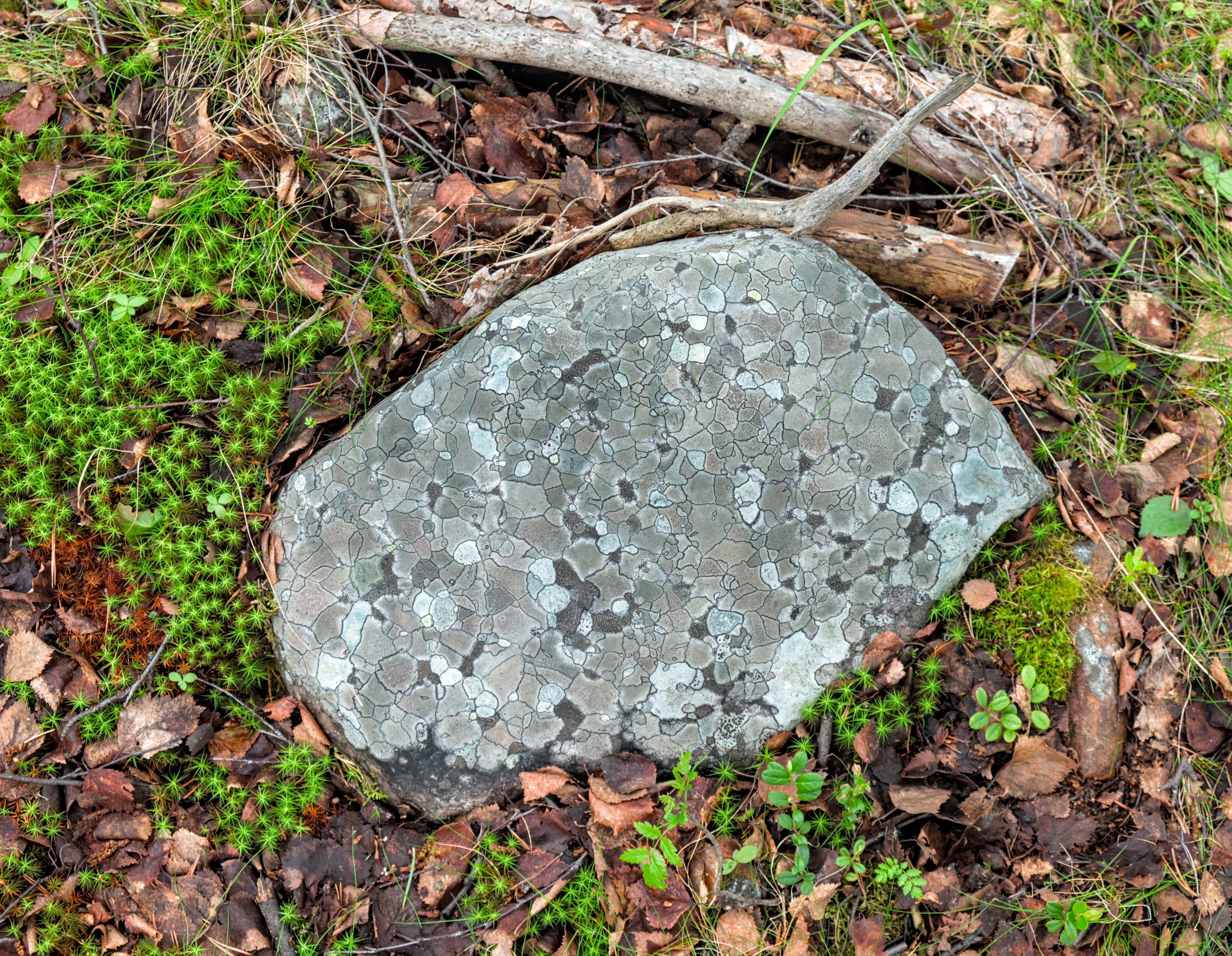 Unidentified rock