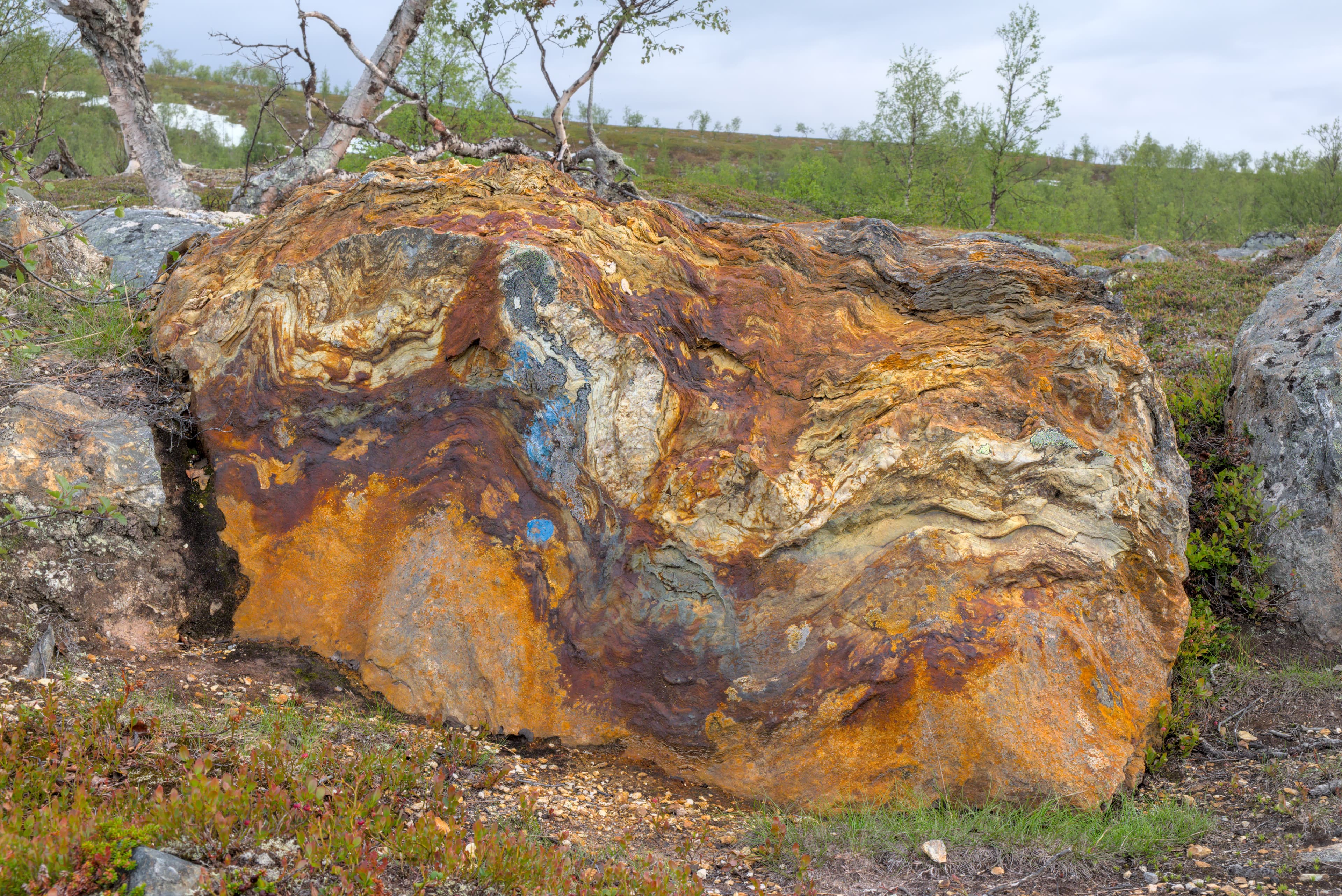 Iron-stained Metamorphic Glacial Erratic