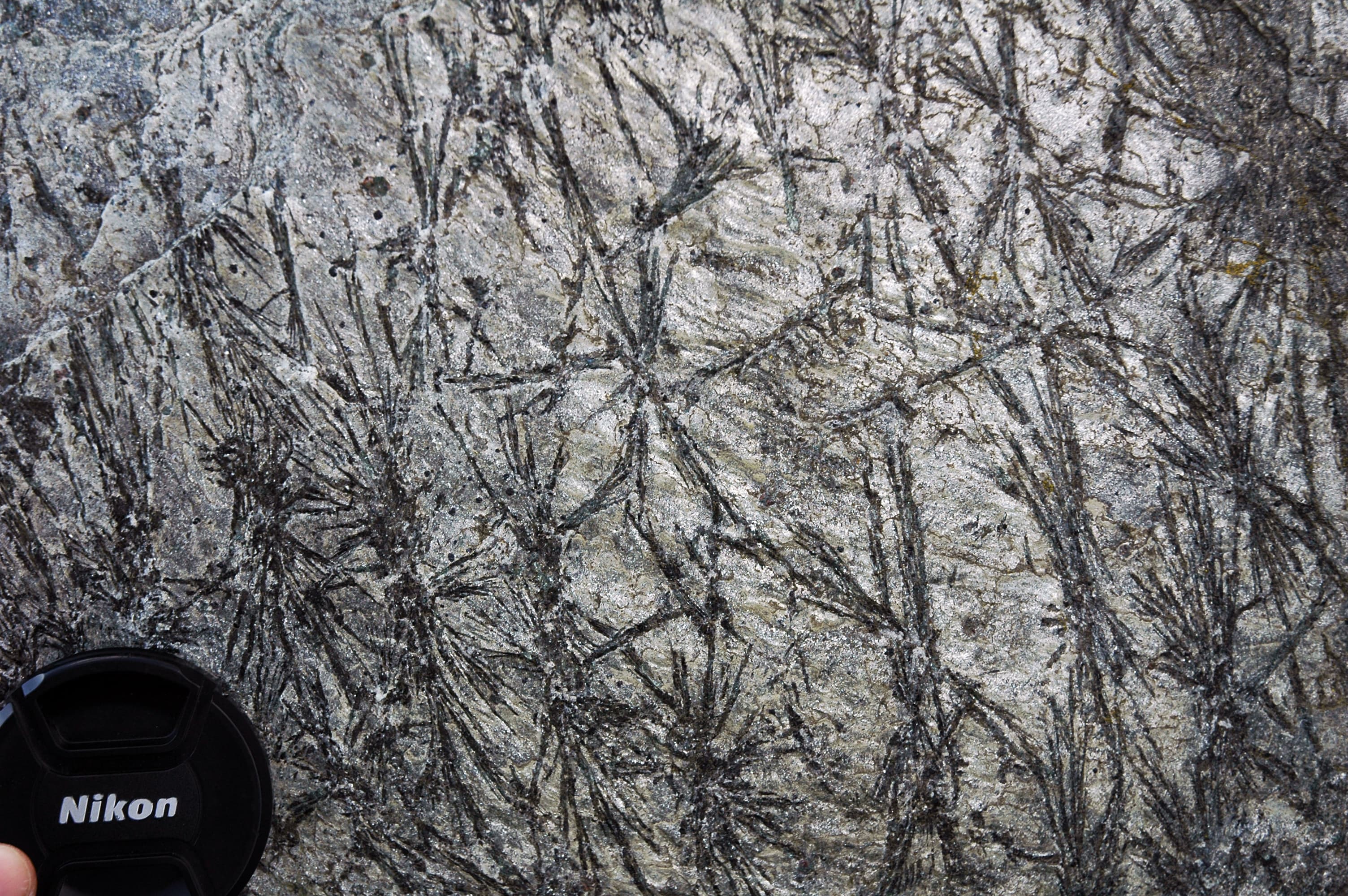 Schist