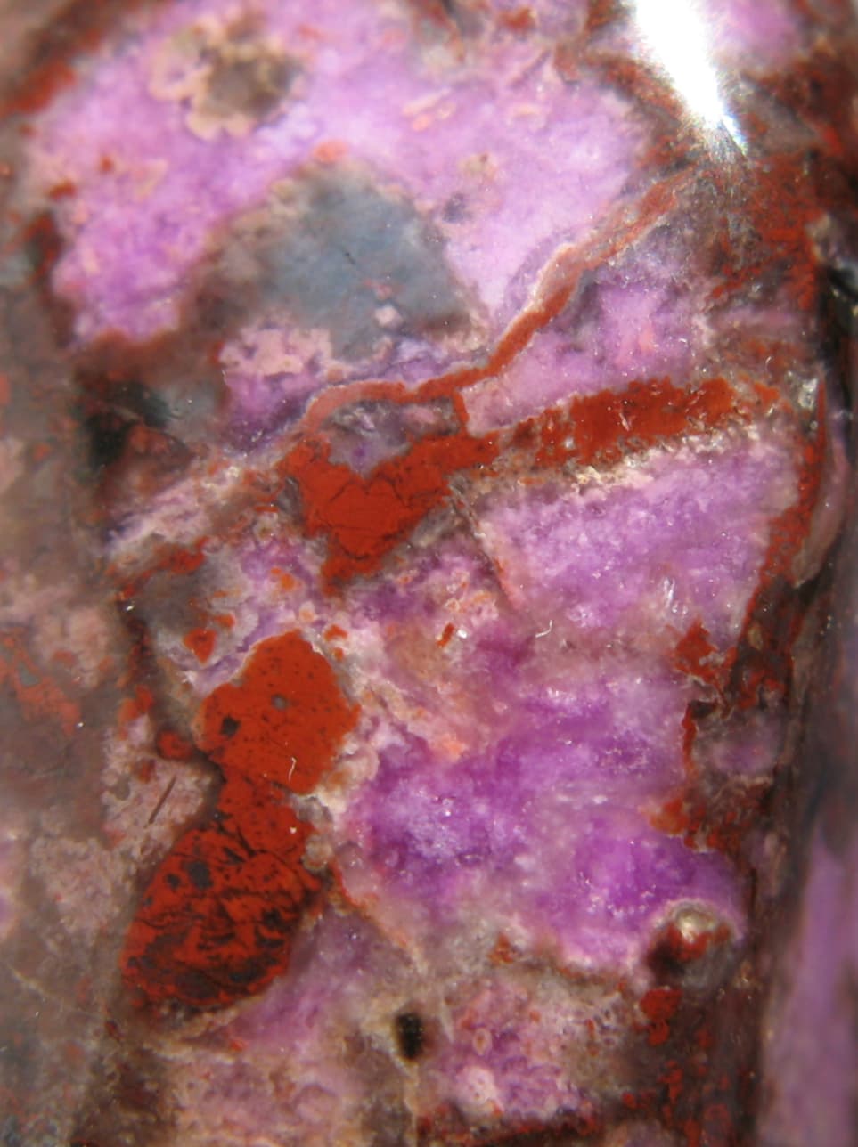 Sugilite