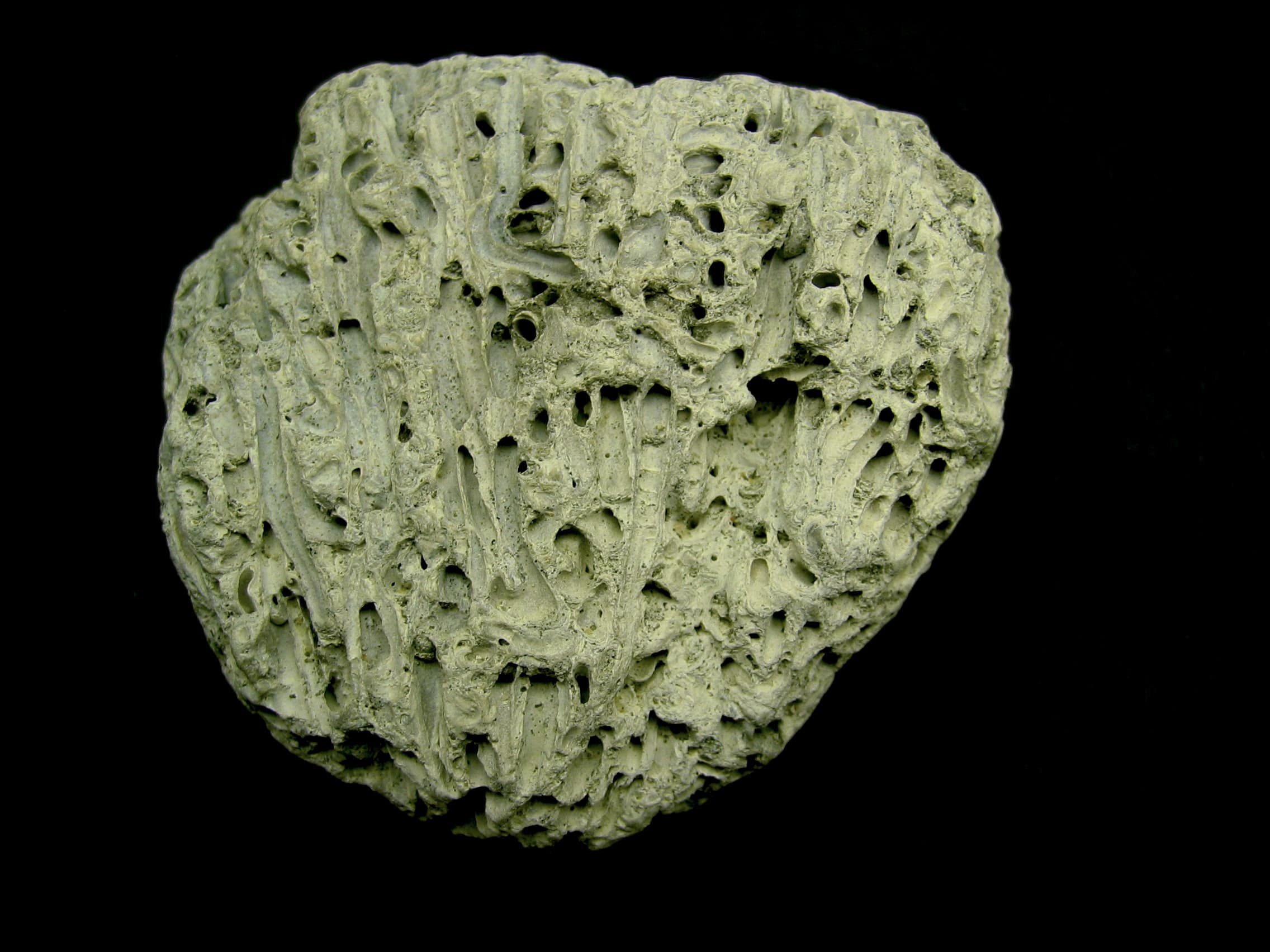 Travertine