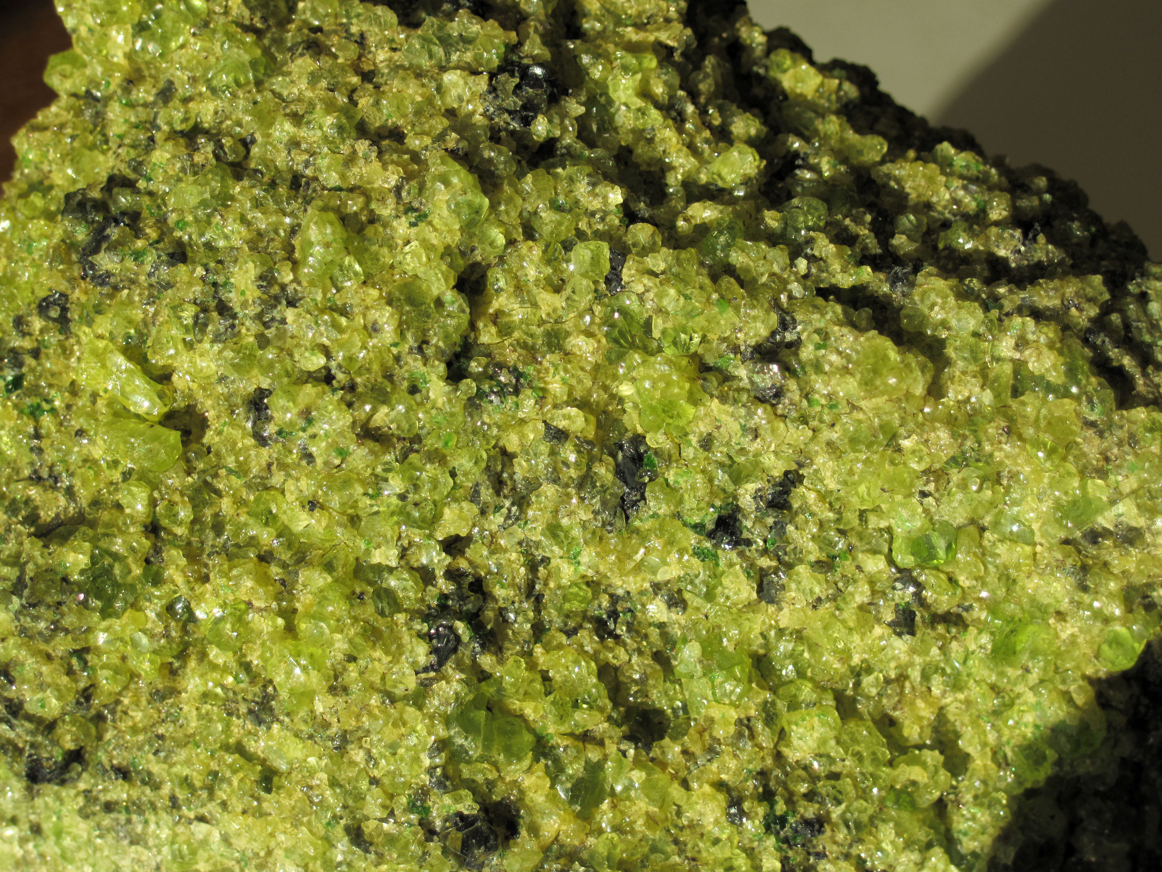 Peridotite