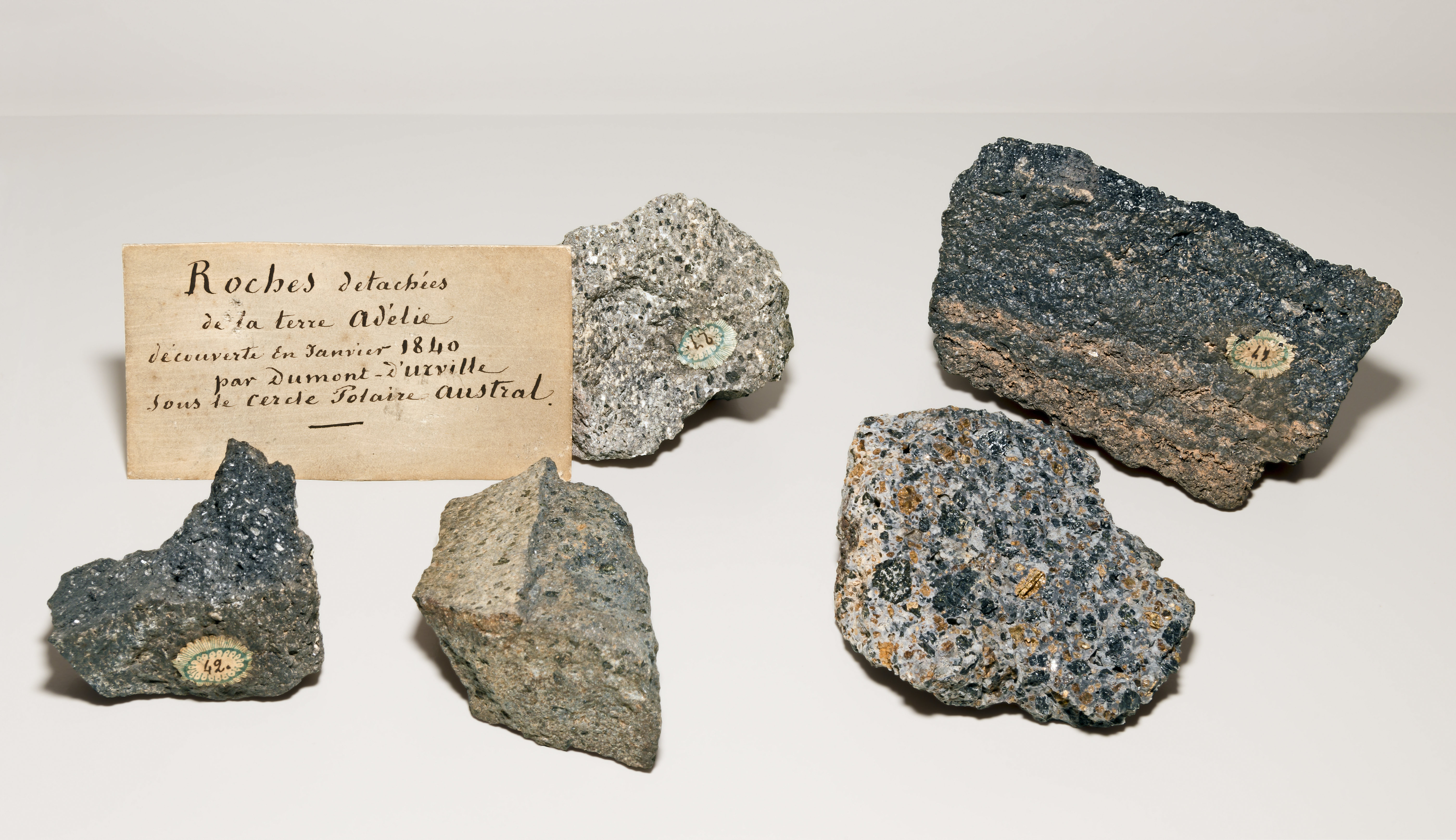 Volcanic Rock Specimens from Dumont D'Urville Expedition