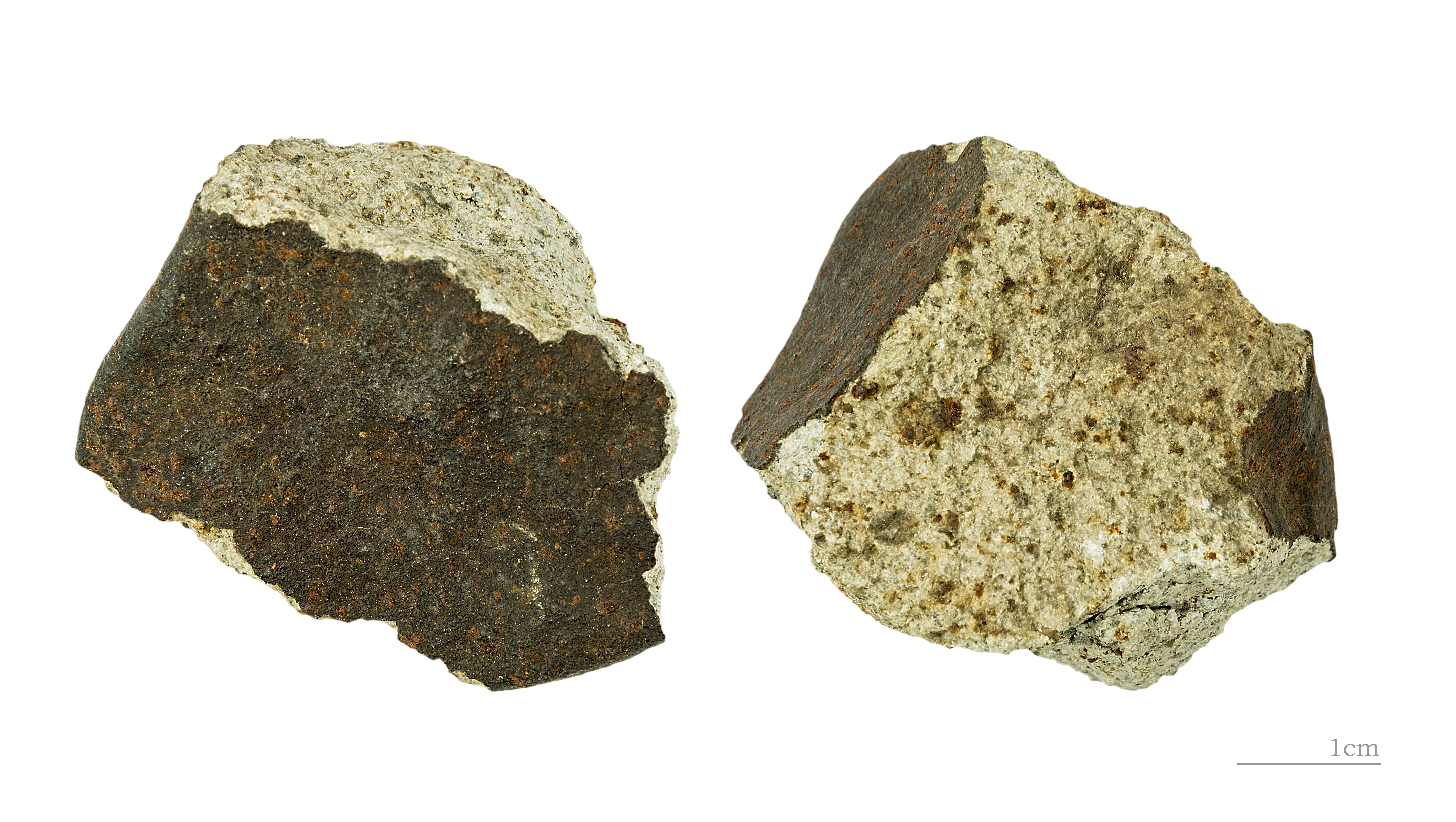 Stony Meteorite (Chondrite L6)