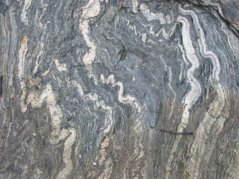 Migmatite