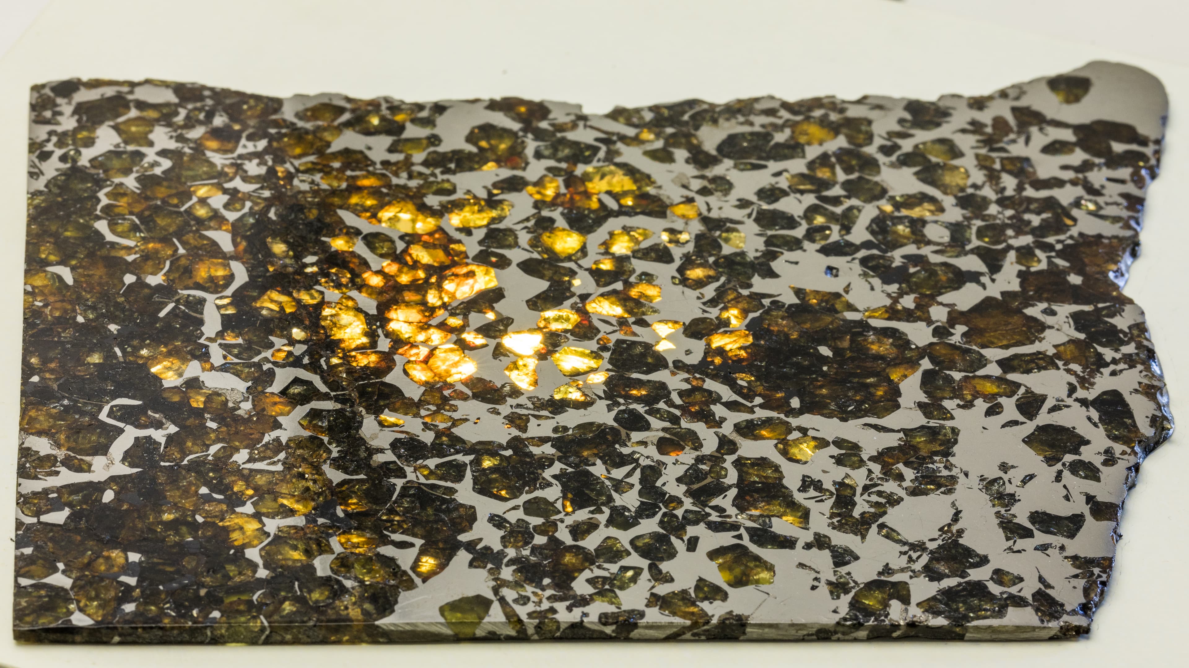 Seymchan Pallasite Meteorite