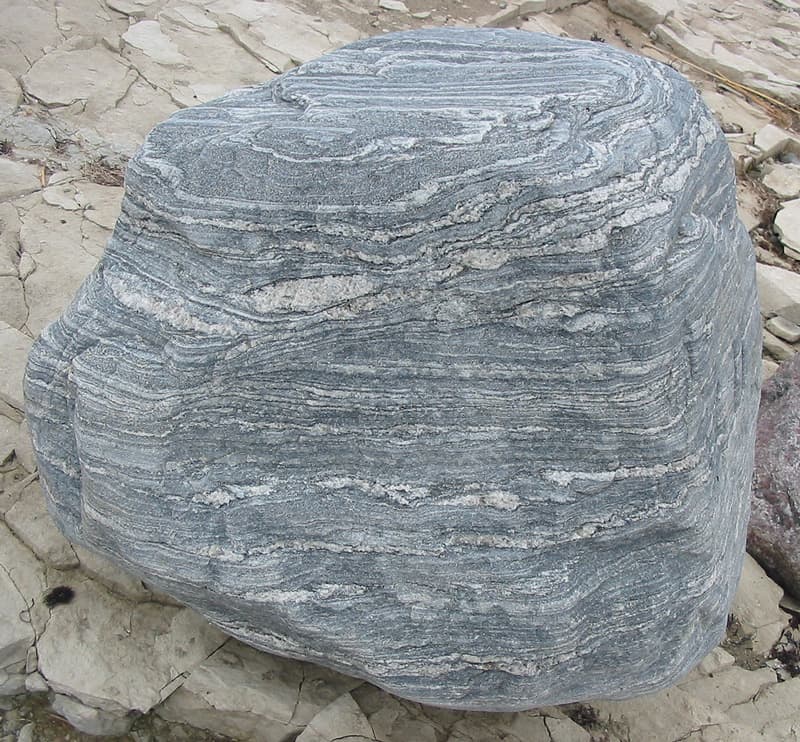 Migmatite