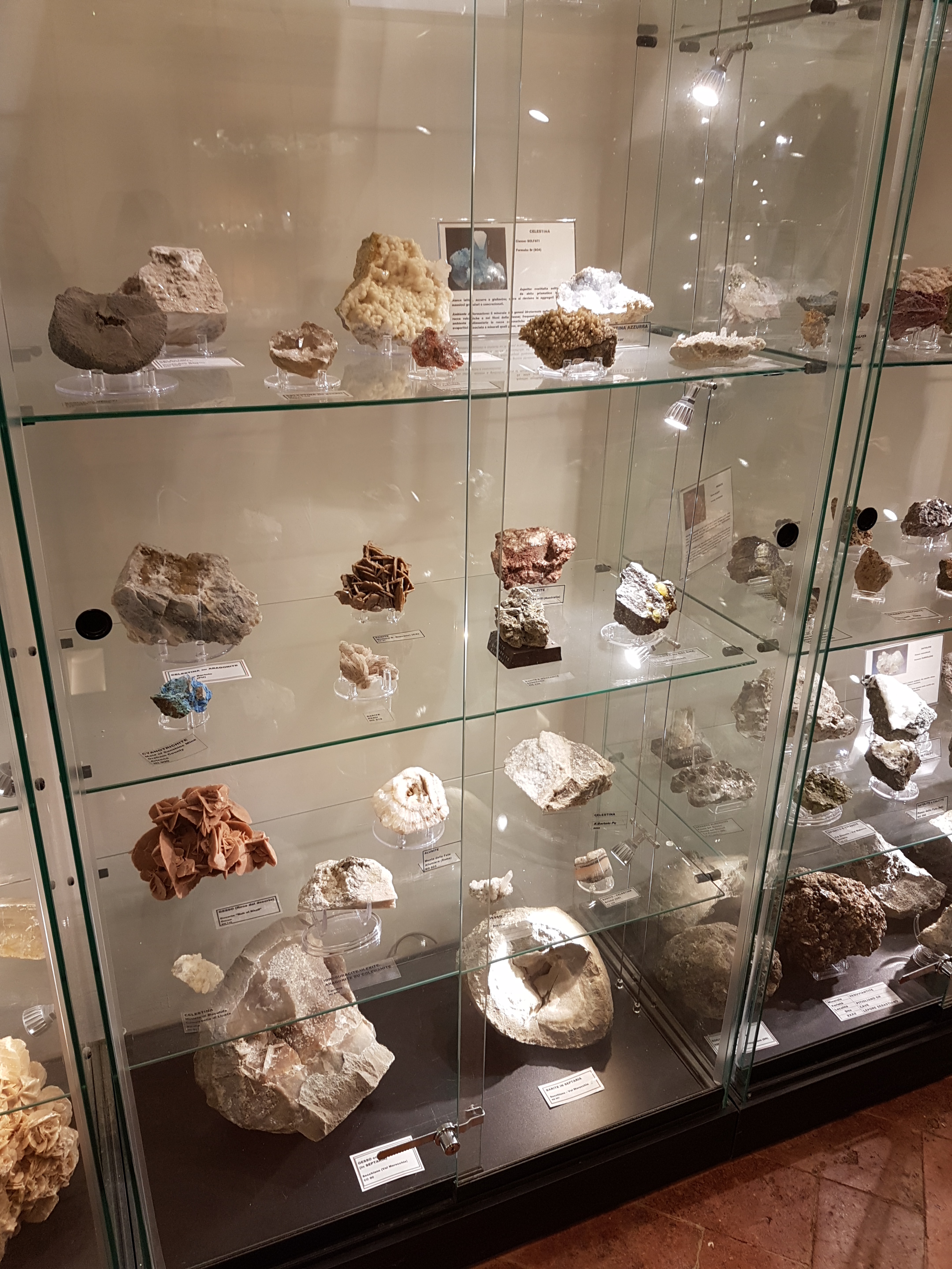 Gypsum (Desert Rose)