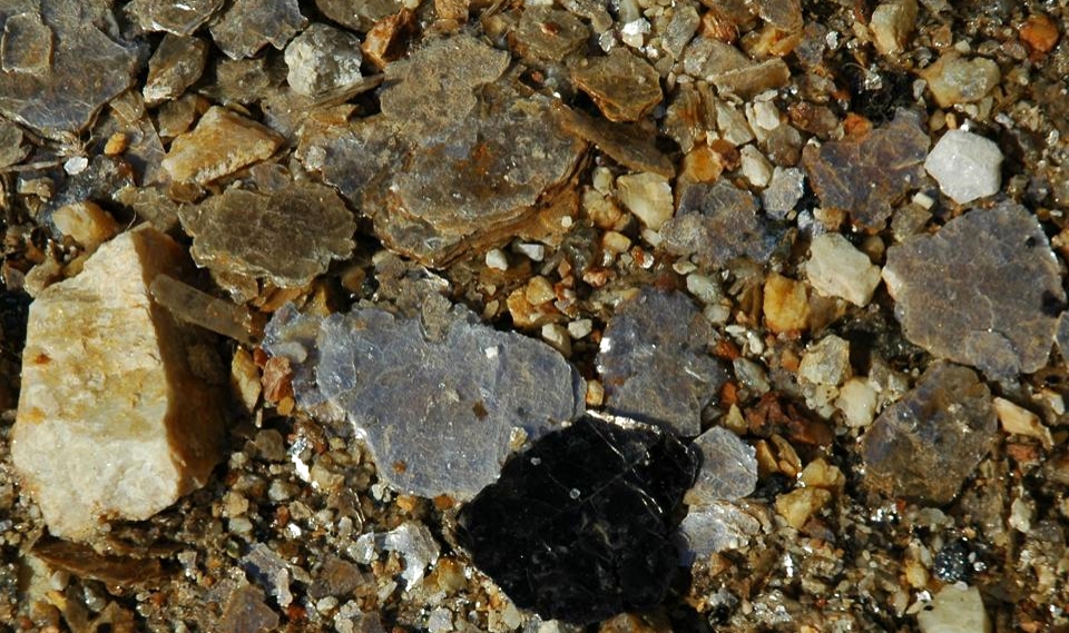 Muscovite