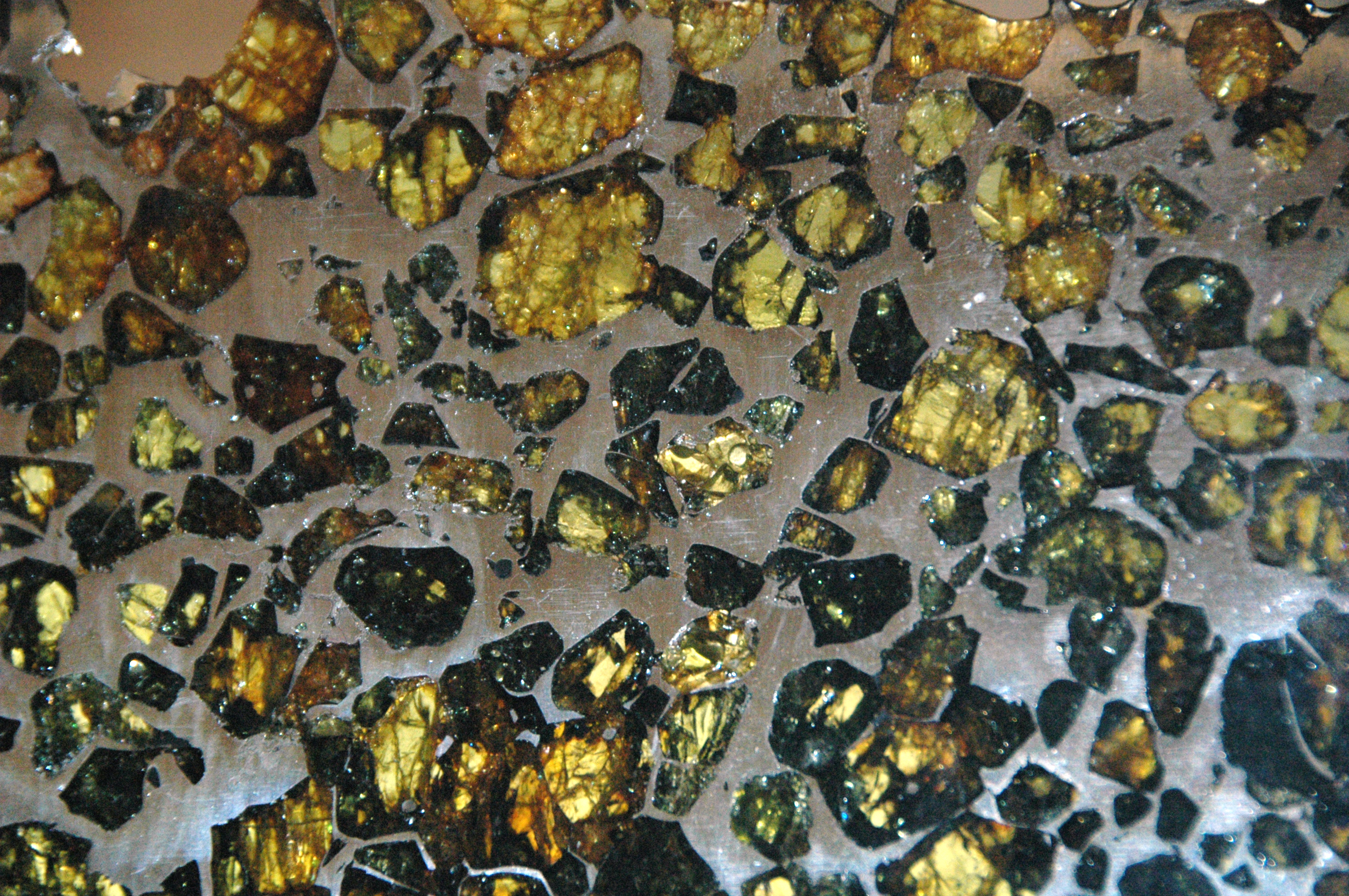 Pallasite Meteorite