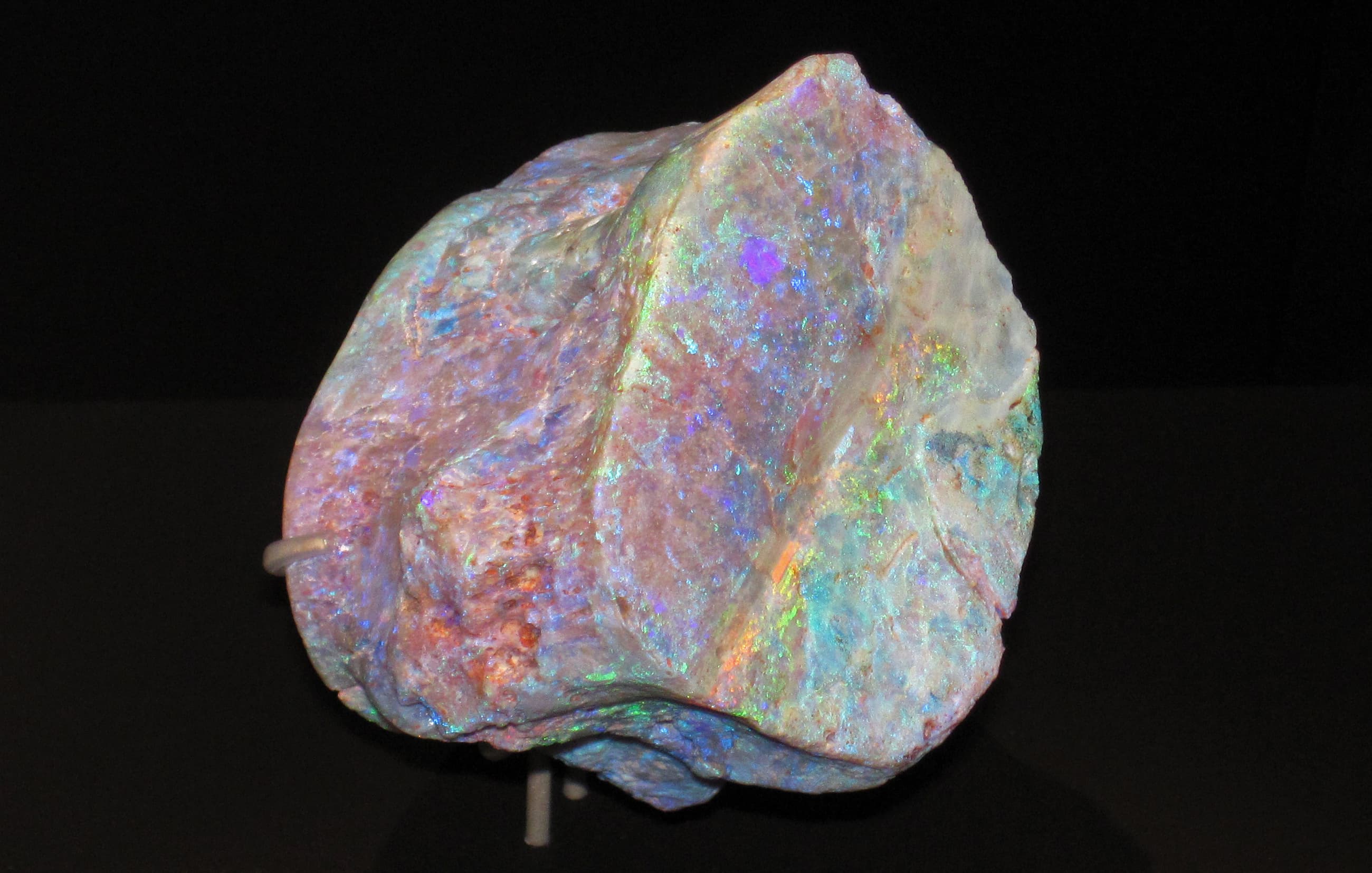Opalized Plesiosaur Fossil