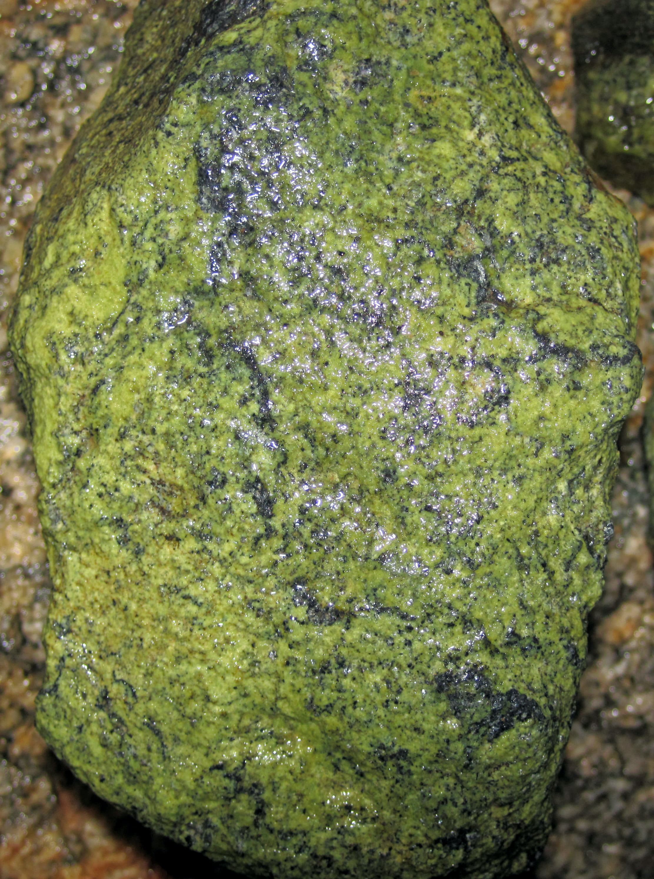 Serpentinite