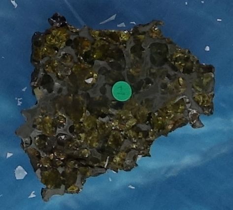 Pallasite Meteorite