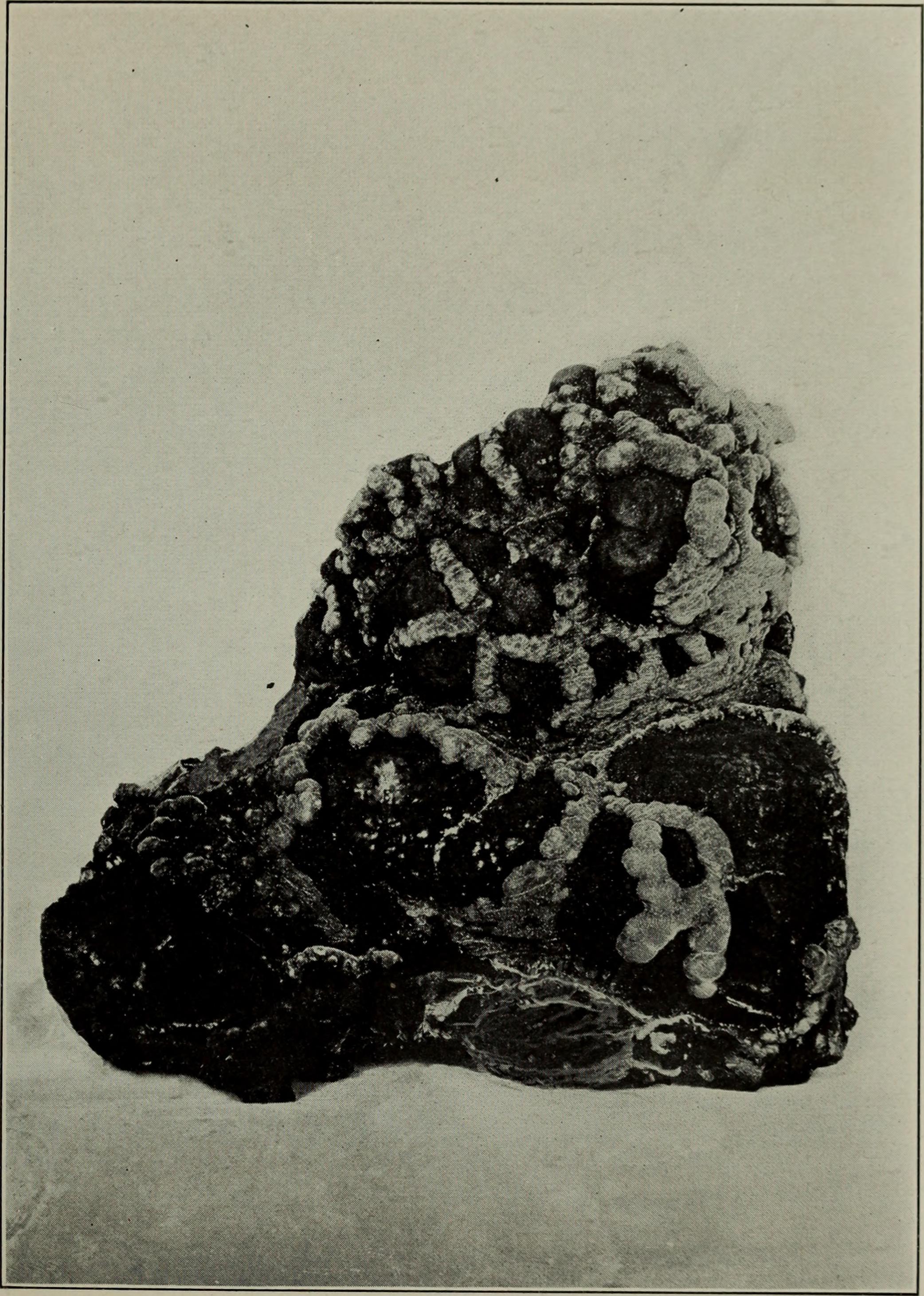 Edenite