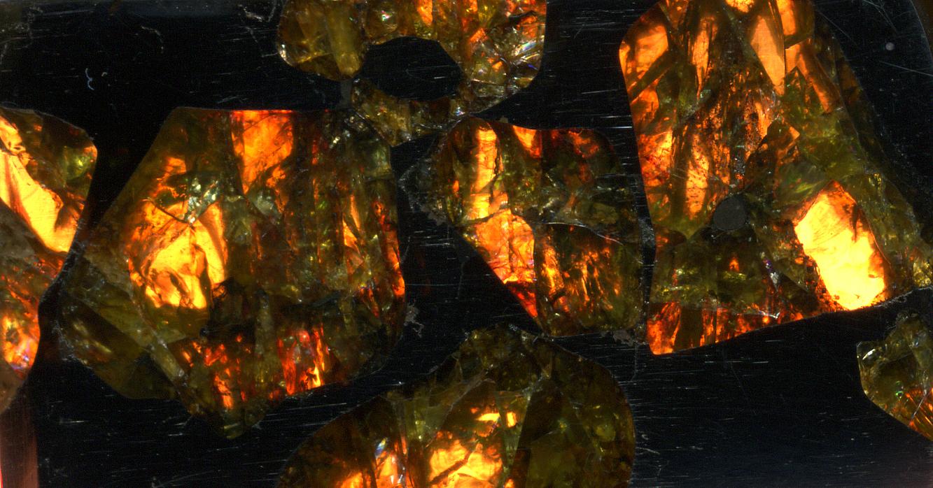 Pallasite Meteorite