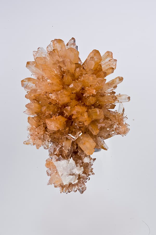 Creedite