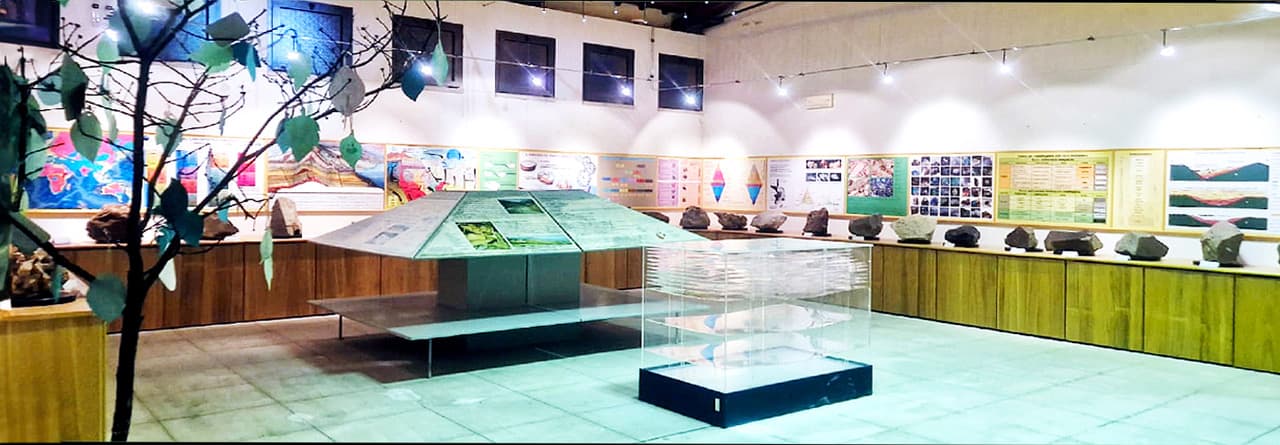 Assorted Rock Samples (Museum Exhibit)