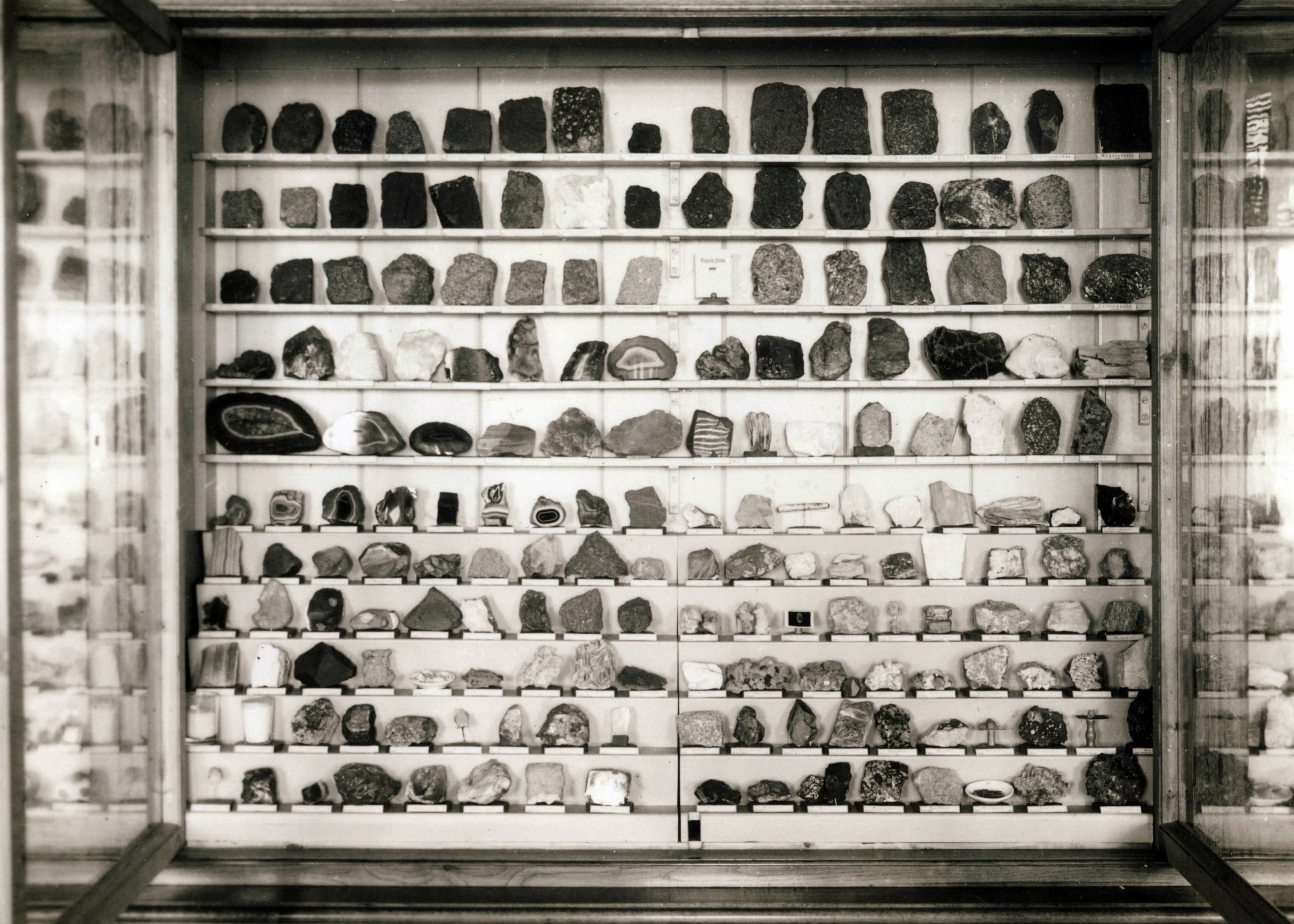 Assorted Mineral and Rock Collection