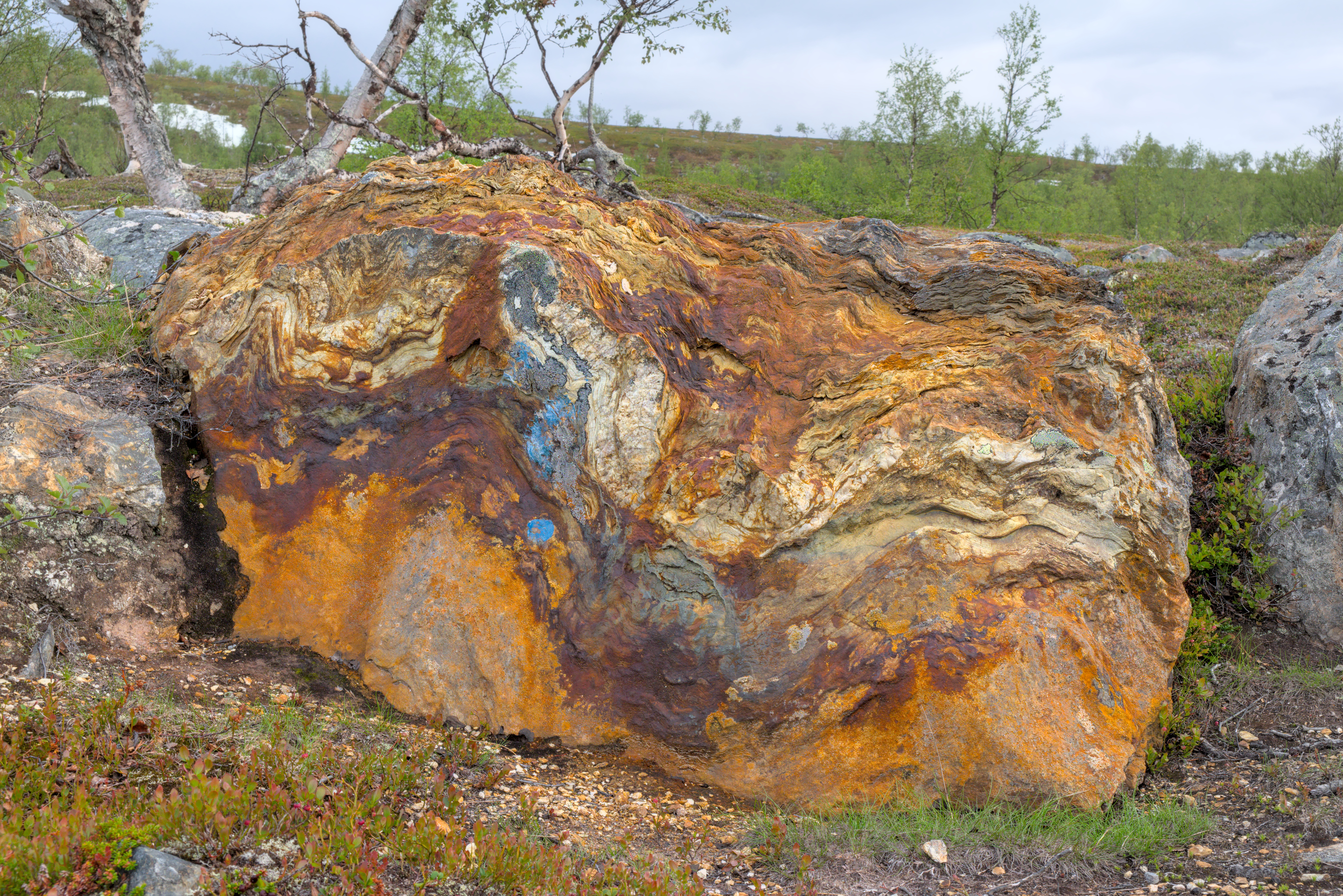 Iron-stained Metamorphic Glacial Erratic